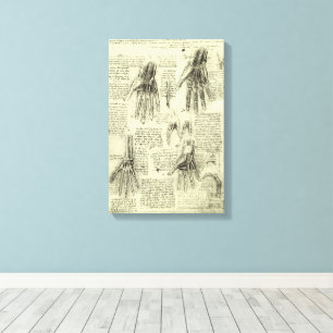 Anatomy of the Human Hand by Leonardo da Vinci Canvas Print