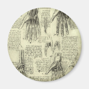 Anatomy of the Human Hand by Leonardo da Vinci Magnet