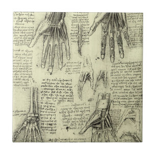 Anatomy of the Human Hand by Leonardo da Vinci Tile