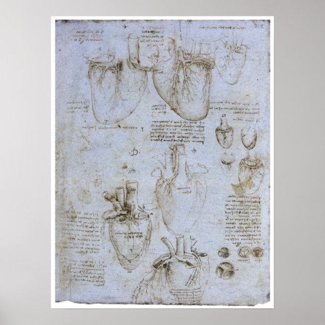 Anatomy of the Human Heart, Leonardo da Vinci Poster (Front)
