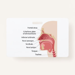 Anatomy of the human nose ID badge