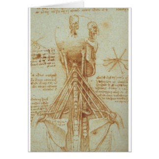Anatomy of the Neck by Leonardo Da Vinci c. 1515