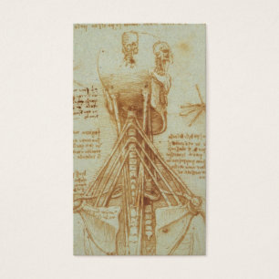 Anatomy of the Neck by Leonardo Da Vinci c. 1515