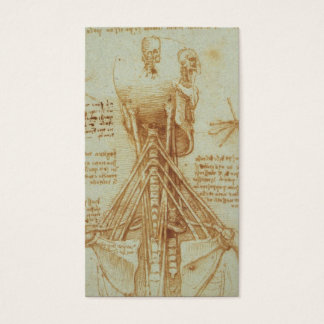 Anatomy of the Neck by Leonardo Da Vinci c. 1515