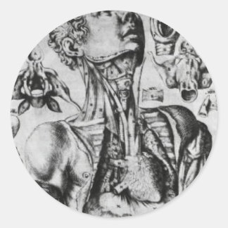 anatomy of the respiratory system classic round sticker