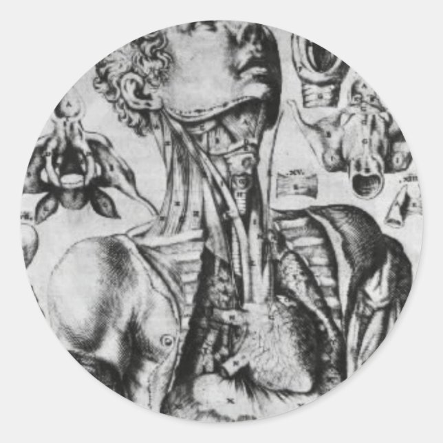 anatomy of  the respiratory system classic round sticker (Front)