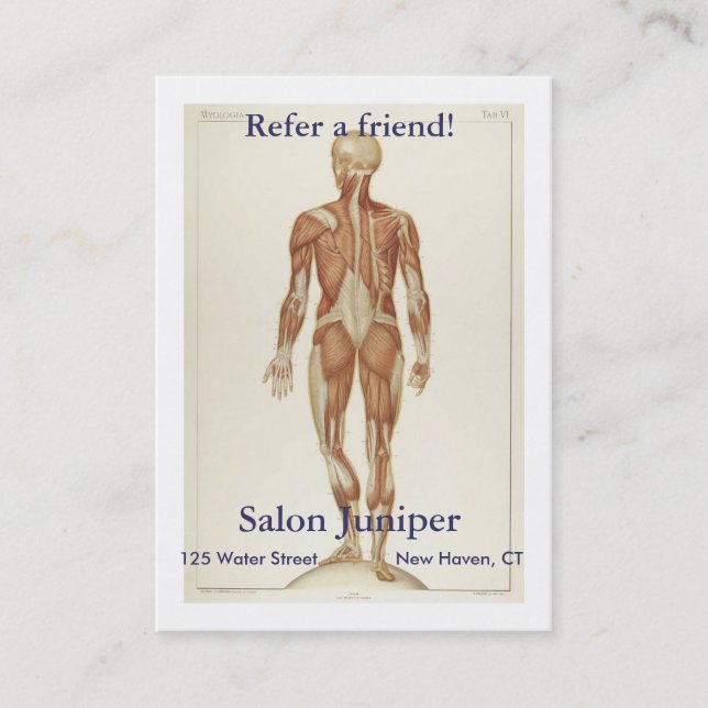 Anatomy Posterior Referral Card (Front)