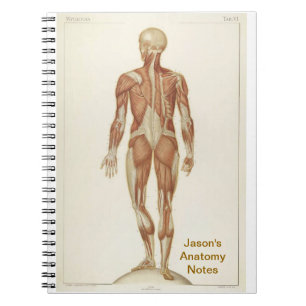 Anatomy Posterior Spiral Notebook