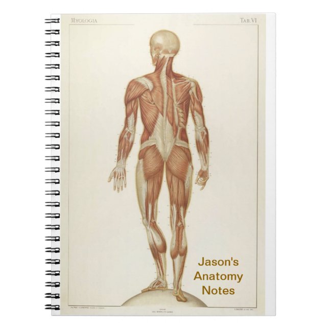 Anatomy Posterior Spiral Notebook (Front)