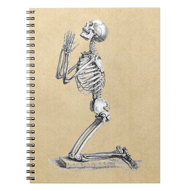 Anatomy Skeleton Illustration Spiral Notebook (Front)
