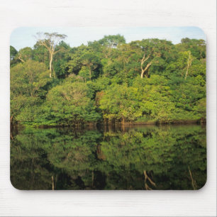Anavilhanas, Amazonas, Brazil. Rainforest river Mouse Pad