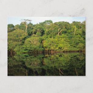 Anavilhanas, Amazonas, Brazil. Rainforest river Postcard