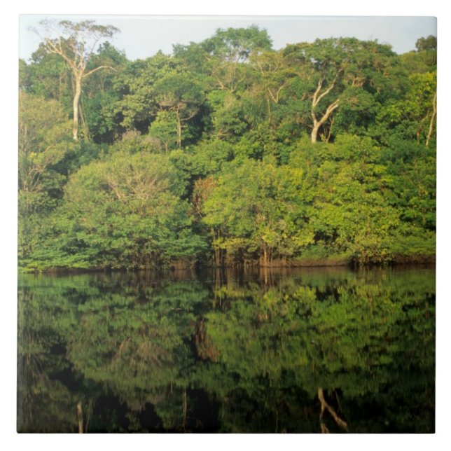 Anavilhanas, Amazonas, Brazil. Rainforest river Tile (Front)