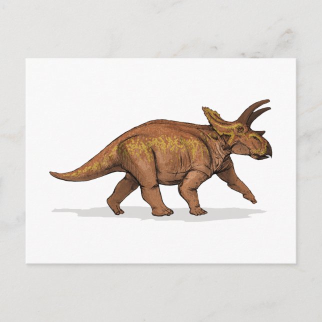 Anchiceratops Dinosaur Postcard (Front)