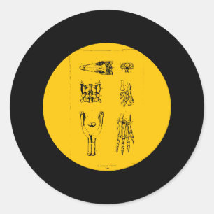 Anchisaurus and Ammosaurus Classic Round Sticker