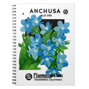 Anchusa Seed Packet Label Spiral Notebook