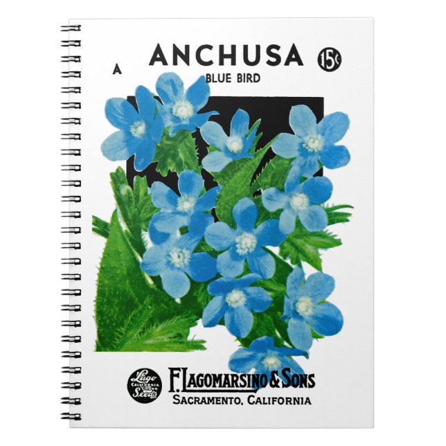 Anchusa Seed Packet Label Spiral Notebook (Front)