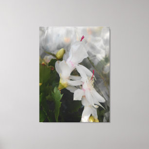 Ancia Canvas Print