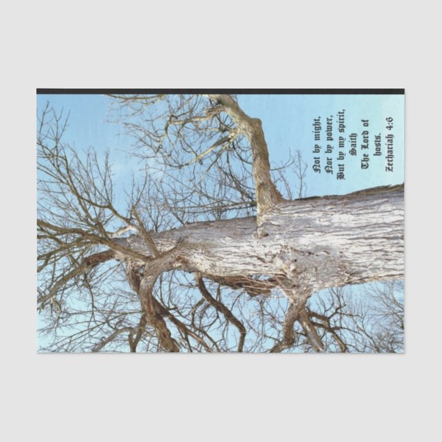Ancient Ash Zechariah 4:6  Tissue Paper (Front)