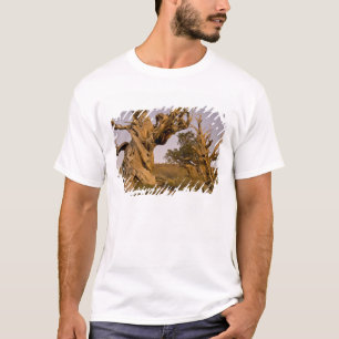Ancient Bristlecone Forest, White Mountains, CA T-Shirt