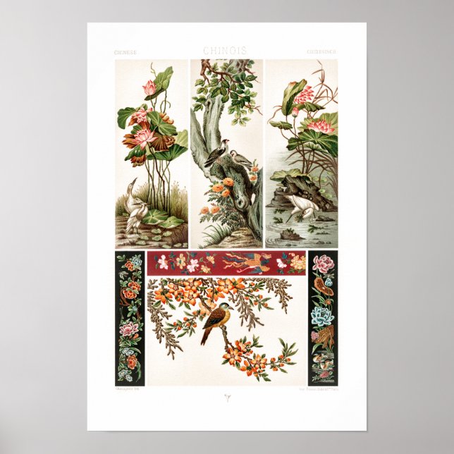 Ancient Chinese pattern by Albert Racinet Poster (Front)