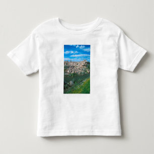 Ancient city of Toledo, Spain. Toddler T-Shirt