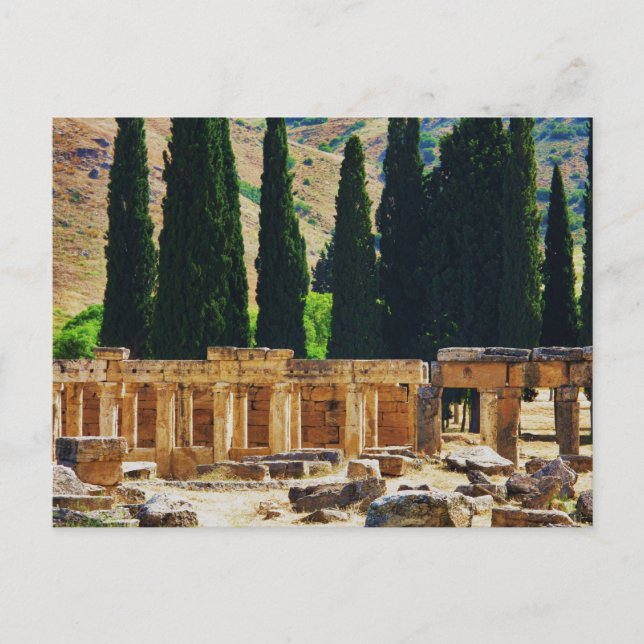Ancient columns  Hierapolis, Turkey Postcard (Front)