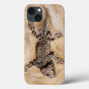 Ancient Dinosaur Fossil in Stone iPhone 13 Case