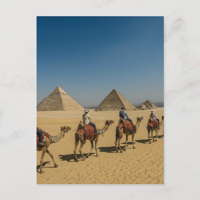 Ancient Egypt pyramids desert Camel Ride Postcard (Front)