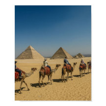 Ancient Egypt pyramids desert Camel Ride