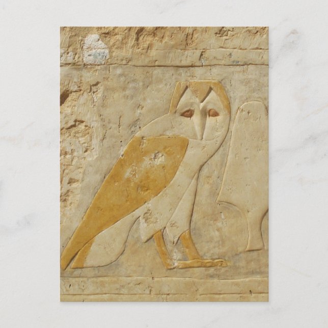 Ancient Egyptian Egypt Owl hieroglyph Postcard (Front)