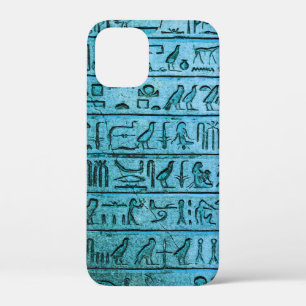Ancient Egyptian Hieroglyphs Blue iPhone 12 Mini Case