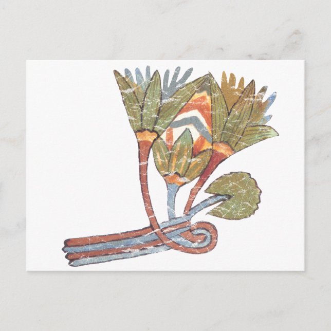 Ancient Egyptian Lotus Flower Postcard (Front)