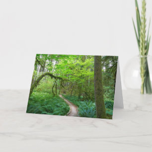 Ancient Groves Trail at Olympic National Park Card