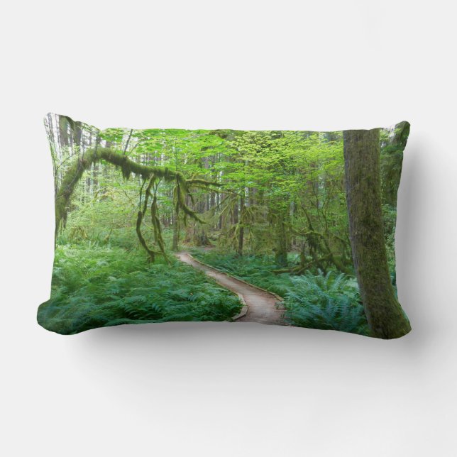Ancient Groves Trail at Olympic National Park Lumbar Cushion (Front)