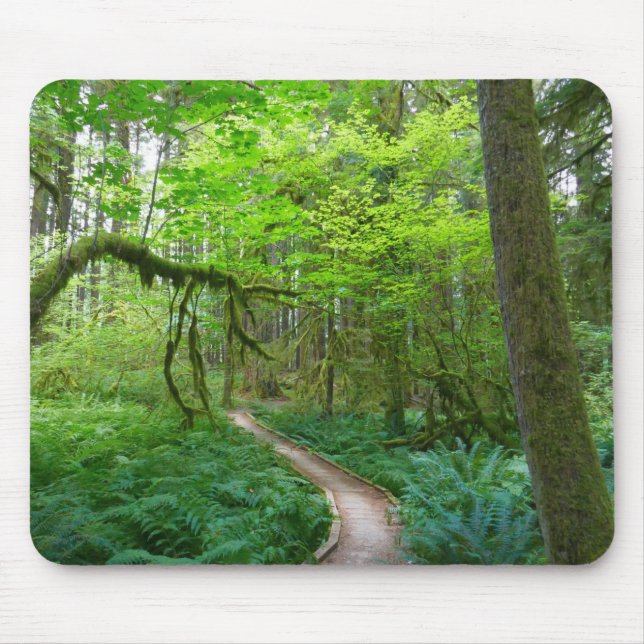 Ancient Groves Trail at Olympic National Park Mouse Pad (Front)
