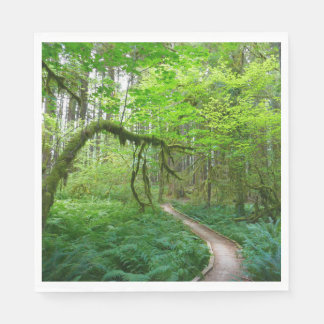 Ancient Groves Trail at Olympic National Park Napkin