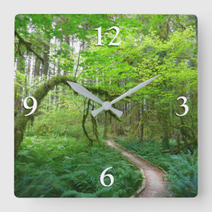 Ancient Groves Trail at Olympic National Park Square Wall Clock