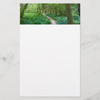 Ancient Groves Trail at Olympic National Park Stationery