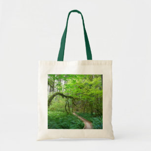 Ancient Groves Trail at Olympic National Park Tote Bag