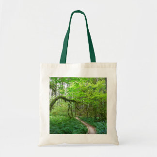 Ancient Groves Trail at Olympic National Park Tote Bag