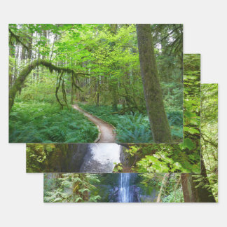 Ancient Groves Trail at Olympic National Park Wrapping Paper Sheet