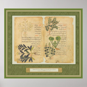 Ancient Herbal Botanic Print / Wall art