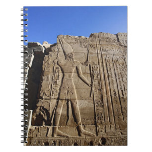 Ancient hieroglyphs on wall, Temple of Karnak, Spiral Notebook
