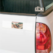 Ancient Japan. Bumper Sticker (On Truck)