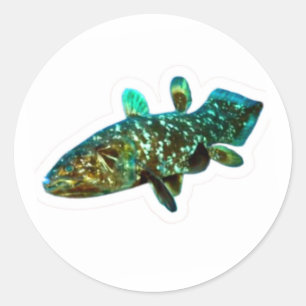 Ancient King Fish Coelacanth Artistic Sticker