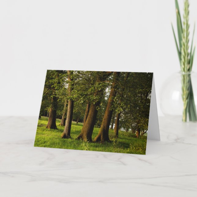 Ancient Oak Woodland Print Card (Front)