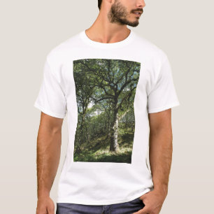 Ancient oaks T-Shirt