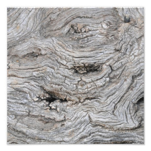 Ancient Olive Tree Bark Texture Photo Print