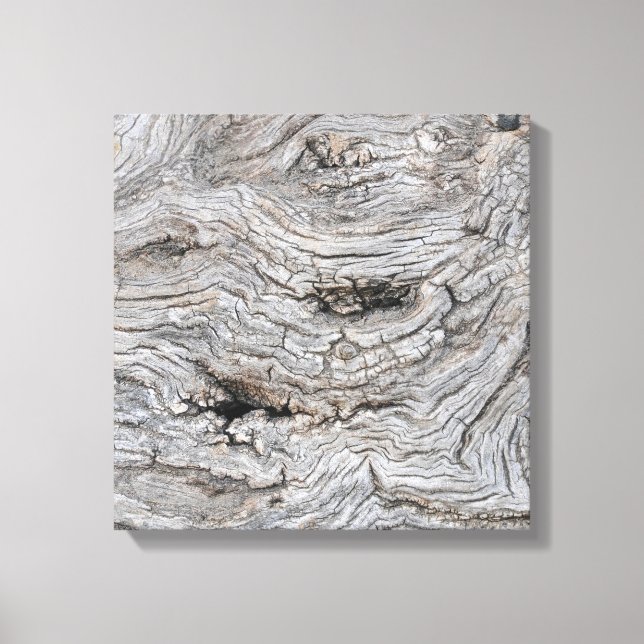 Ancient Olive Tree Bark Texture Poster Canvas Print (Front)